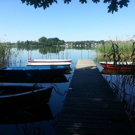 Holzhaus Trollbluemchen Am Wald Und See Neuruppin Buitenkant foto